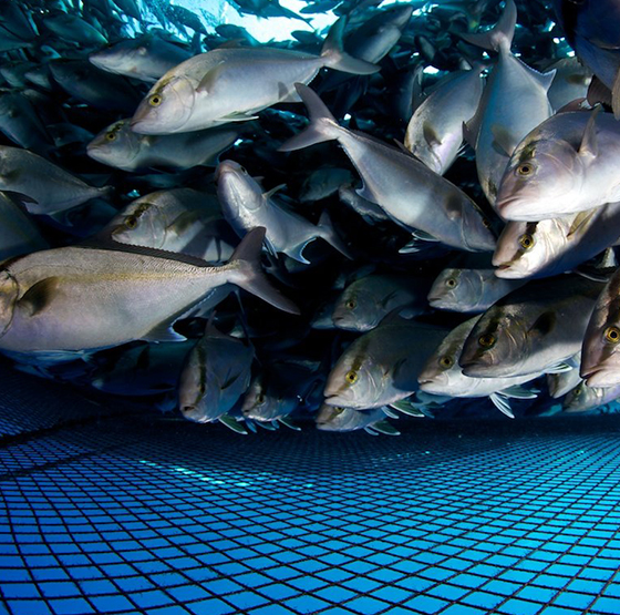 PSA oxigéngenerátor alkalmazás